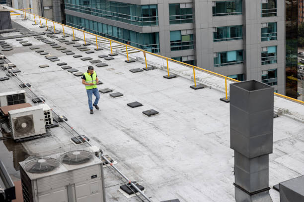 Best Roof Maintenance and Cleaning  in West Wyomissing, PA